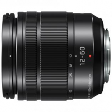 Panasonic H-FS12060E (Сменный объектив)